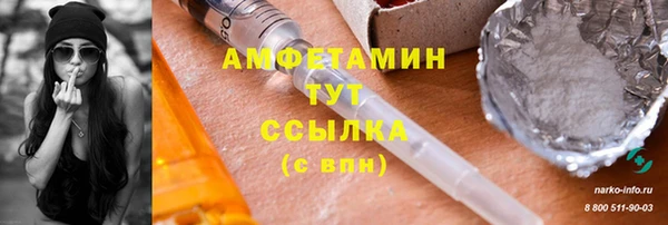 ГАЛЛЮЦИНОГЕННЫЕ ГРИБЫ Аркадак